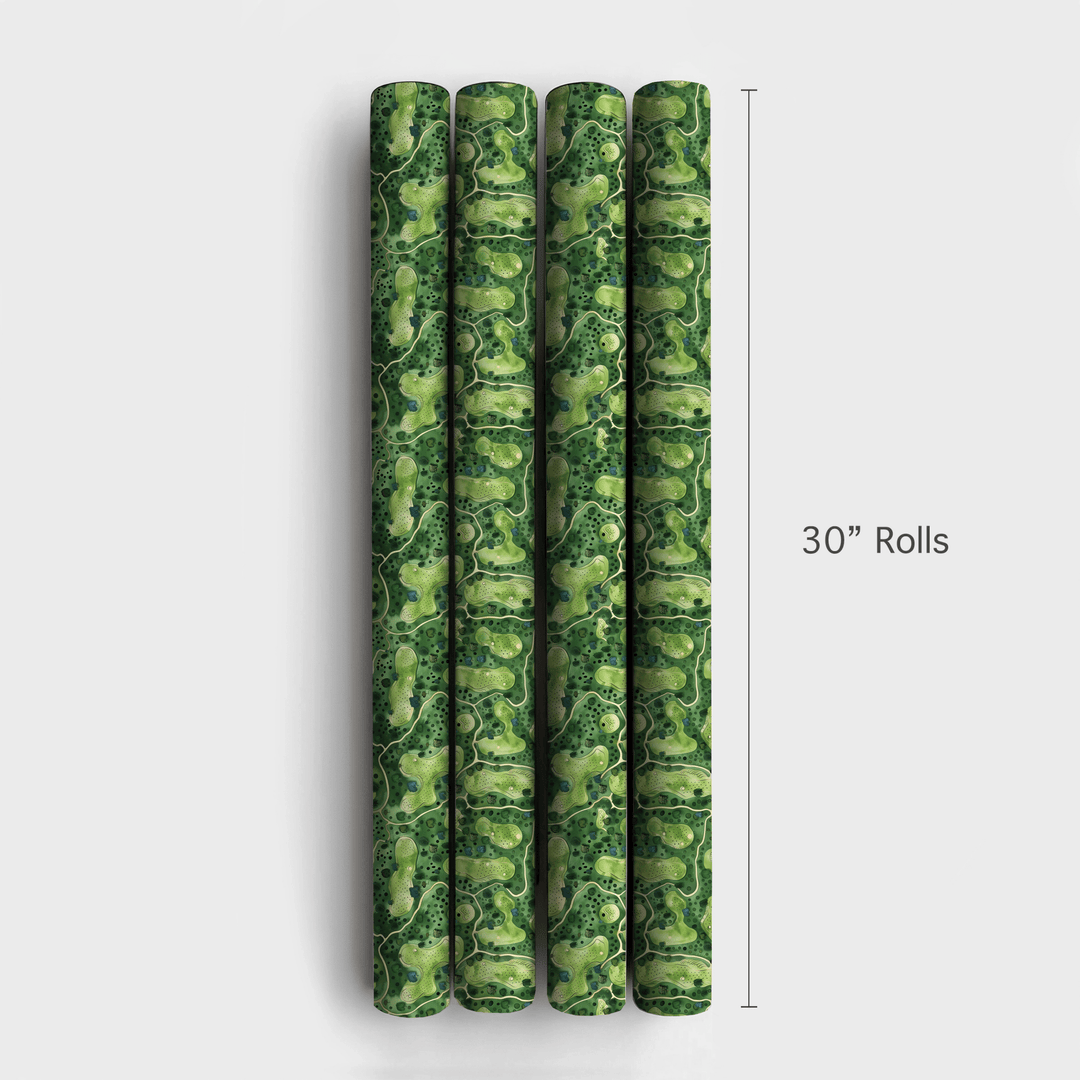 10 A.M. Tee Time - Wrapping Paper - Aspen & Arlo