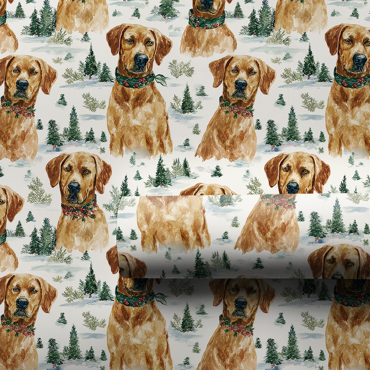 Snow Day for Rhodesian Ridgebacks