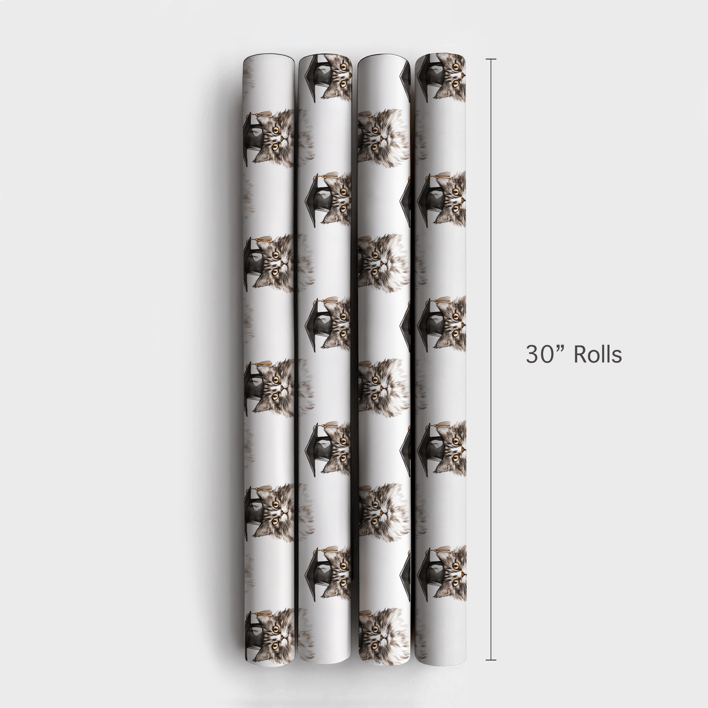 Feline So Accomplished - Wrapping Paper - Aspen & Arlo