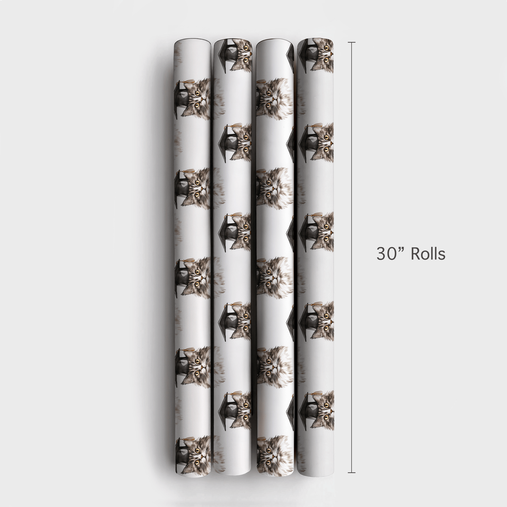 Feline So Accomplished - Wrapping Paper - Aspen & Arlo