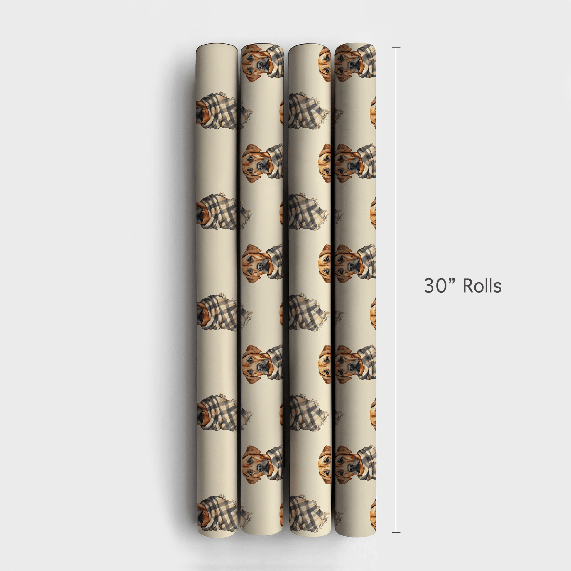 Bundle Up with the Rhodesian Ridgeback - Wrapping Paper - Aspen & Arlo