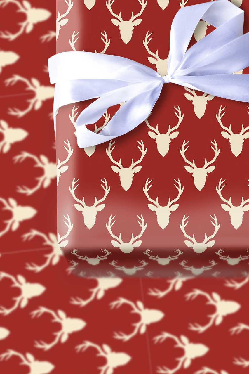 Oh Deer! - Wrapping Paper - Aspen & Arlo