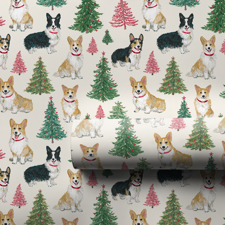 Corgi Winter Woods