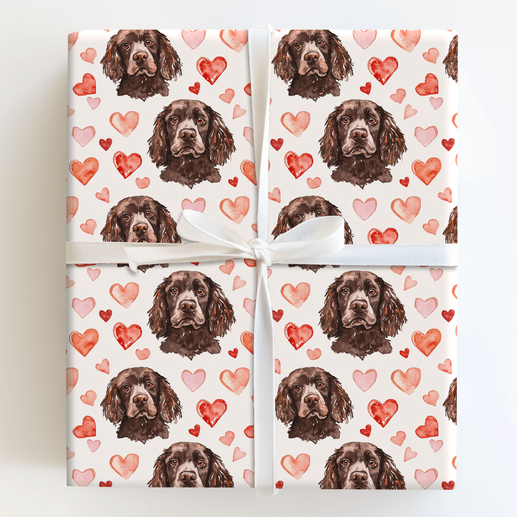 Boykin Spaniel Valentine - Wrapping Paper - Aspen & Arlo