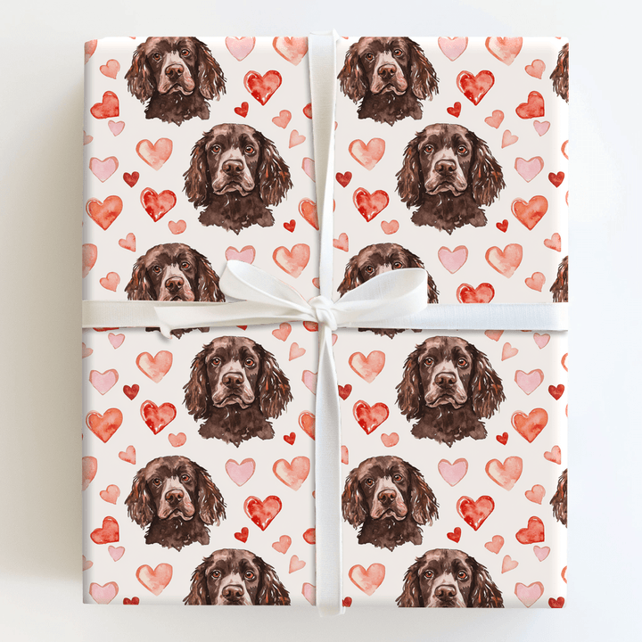 Boykin Spaniel Valentine - Wrapping Paper - Aspen & Arlo