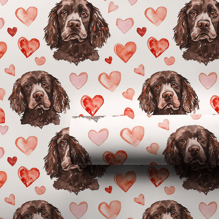 Boykin Spaniel Valentine - Wrapping Paper - Aspen & Arlo