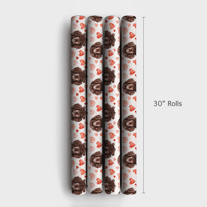 Boykin Spaniel Valentine - Wrapping Paper - Aspen & Arlo
