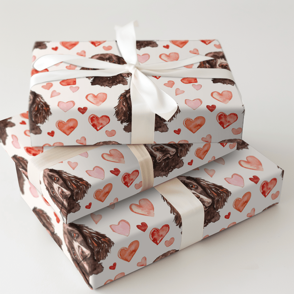 Boykin Spaniel Valentine - Wrapping Paper - Aspen & Arlo