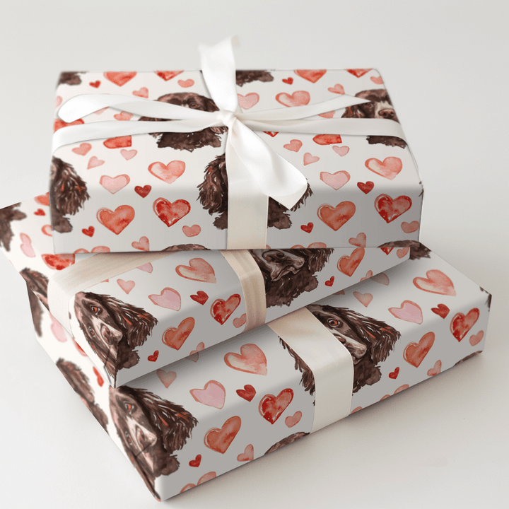 Boykin Spaniel Valentine - Wrapping Paper - Aspen & Arlo