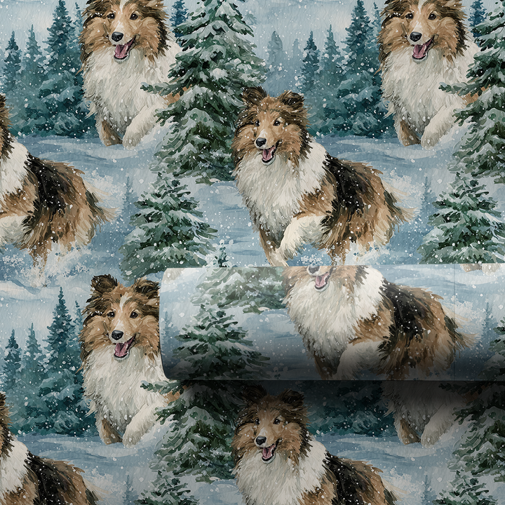 Snow Day for the Shetland Sheepdog