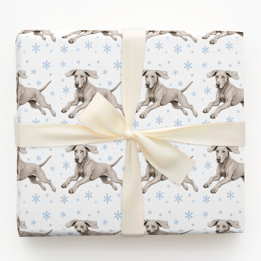 Weimaraner Dashing Through the Snow