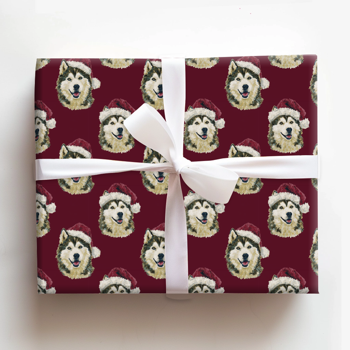 Santa the Husky