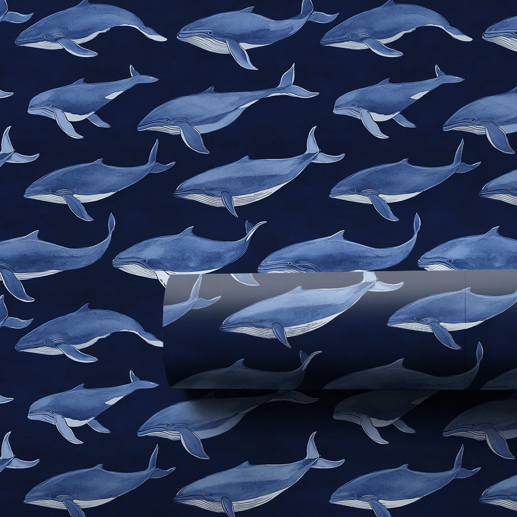 Whale, That's Sweet! - Wrapping Paper - Aspen & Arlo