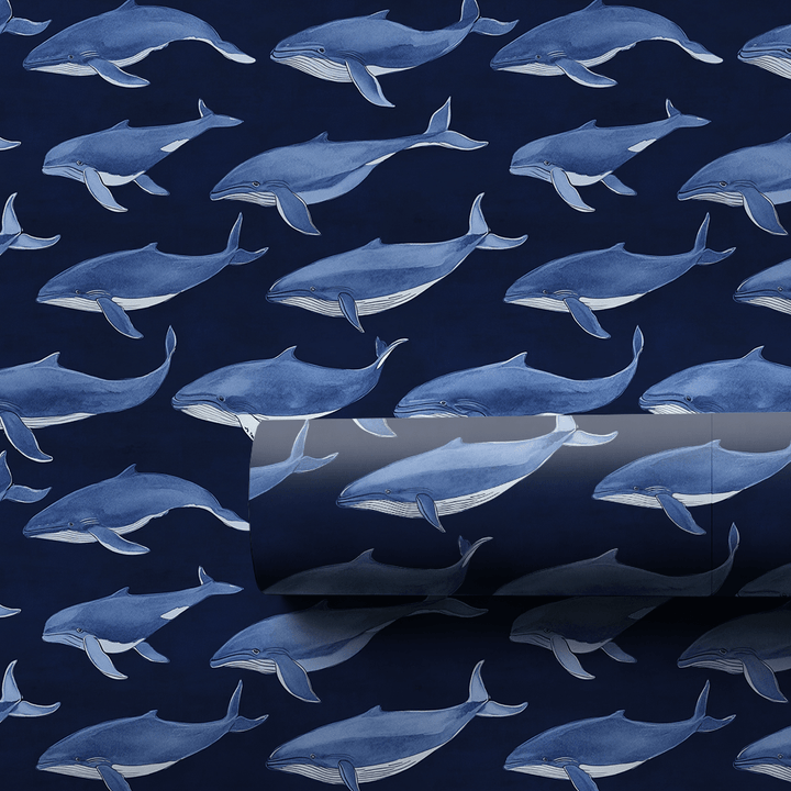 Whale, That's Sweet! - Wrapping Paper - Aspen & Arlo