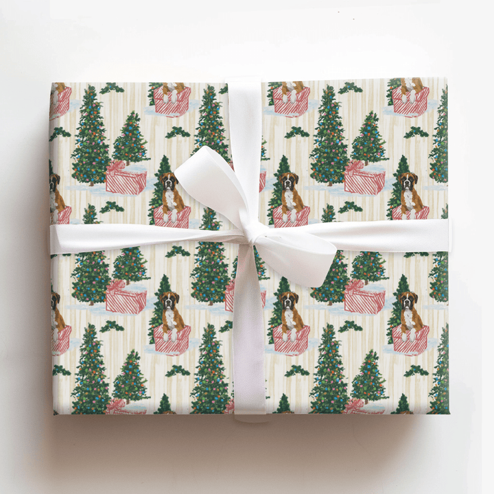 Boxed Up Boxers - Wrapping Paper - Aspen & Arlo