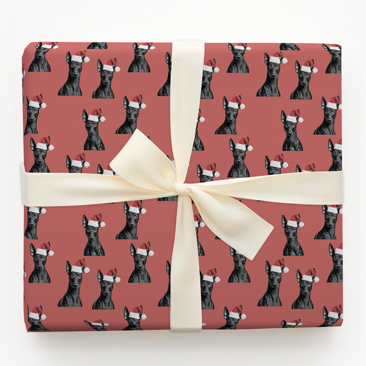 Xolo Claus