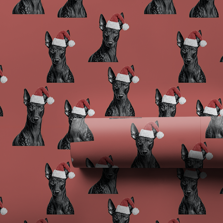 Xolo Claus