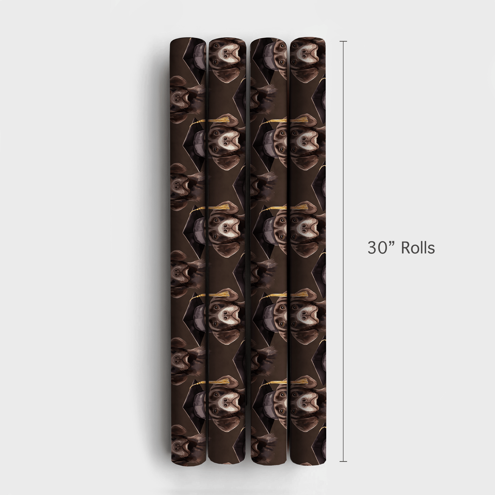 Chocolate Lab Graduate - Wrapping Paper - Aspen & Arlo