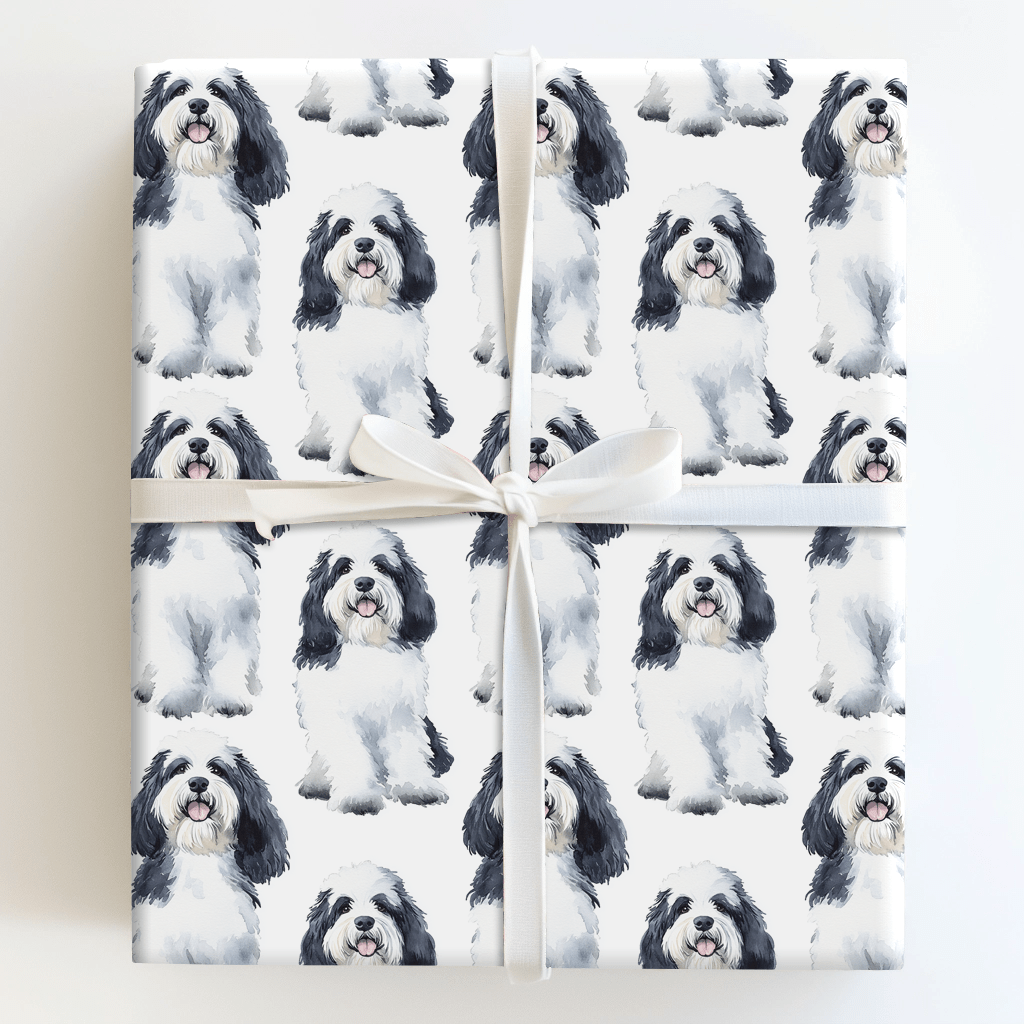 Sheepish Charm - Wrapping Paper - Aspen & Arlo