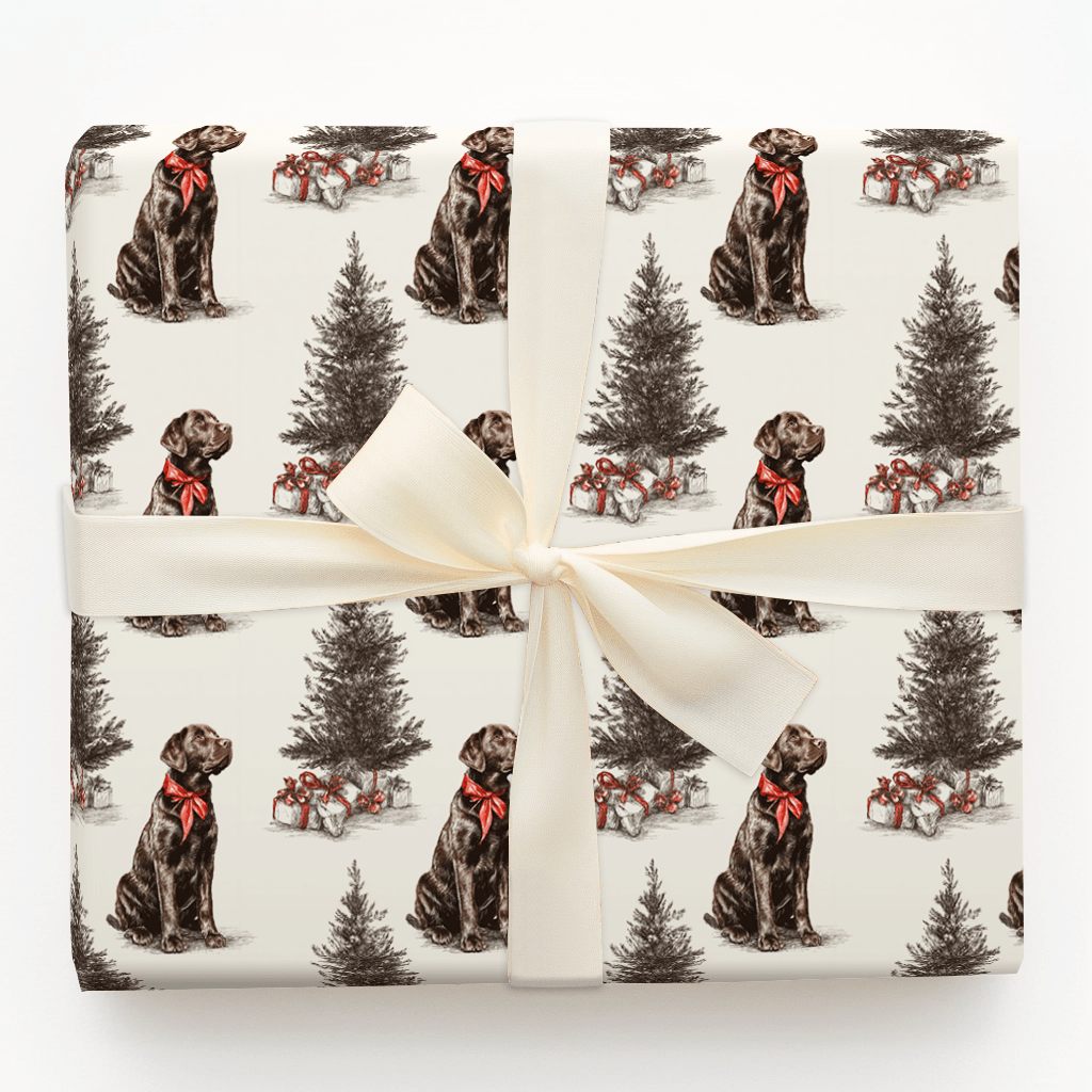 Holiday Lab - Wrapping Paper - Aspen & Arlo