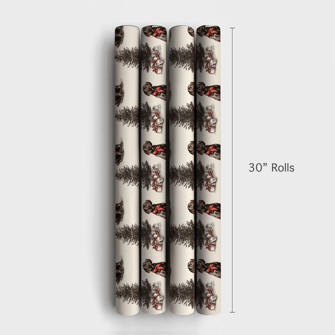 Holiday Lab - Wrapping Paper - Aspen & Arlo