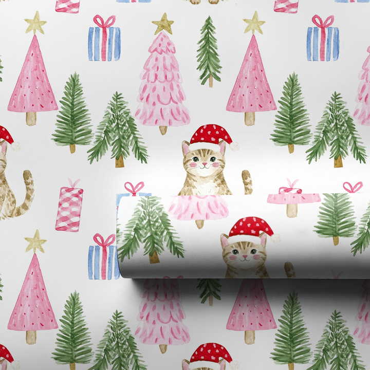 Domestic Shorthair at Christmas
