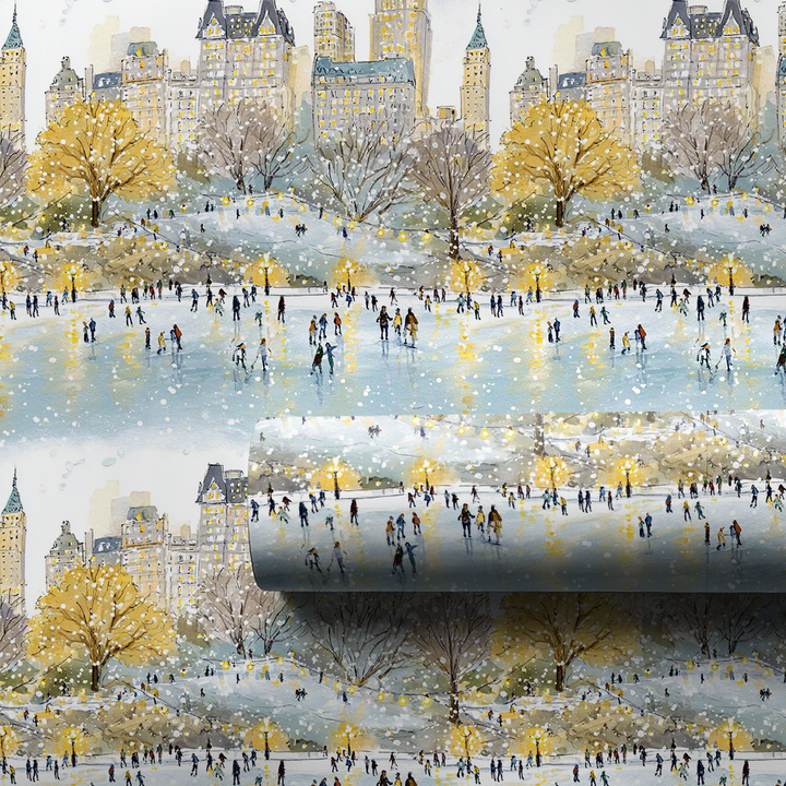 Skating at Central Park