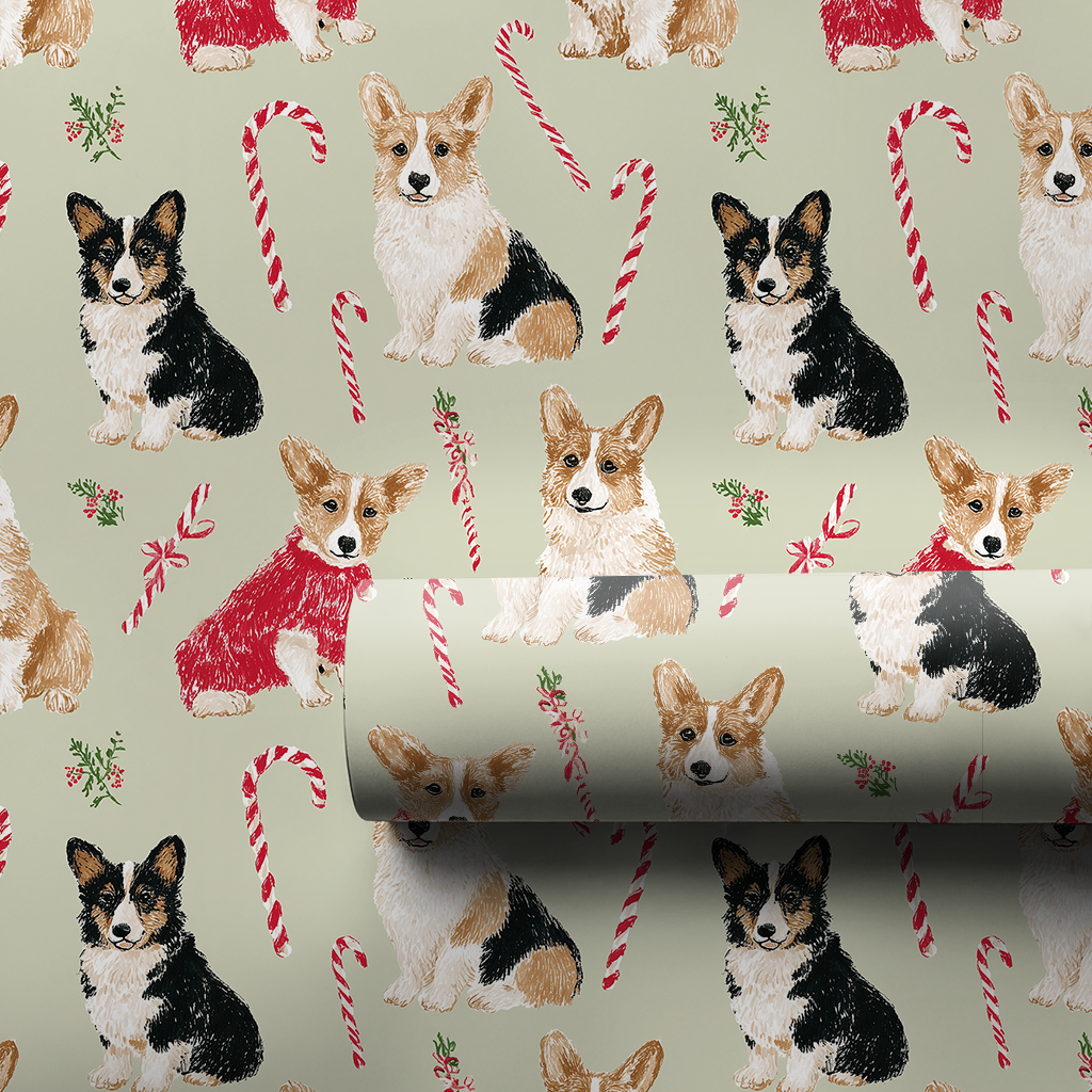 Corgis & Canes