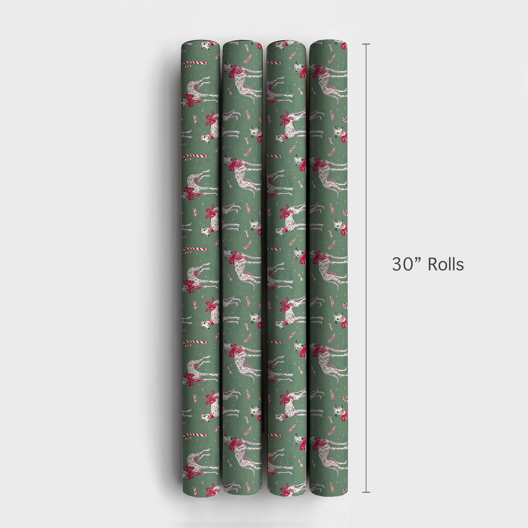 Whippet Candy Cane