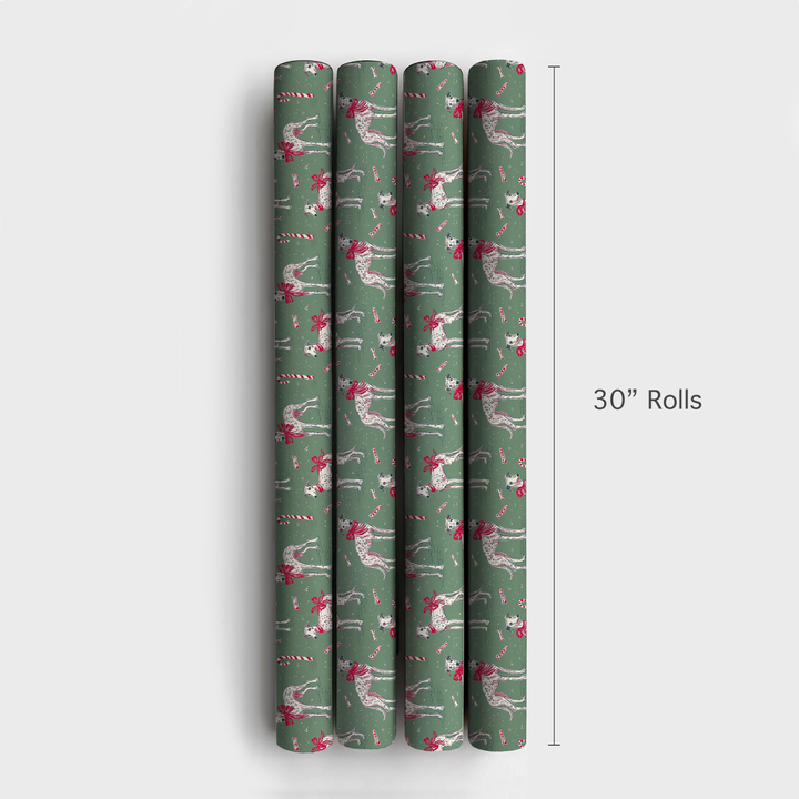 Whippet Candy Cane