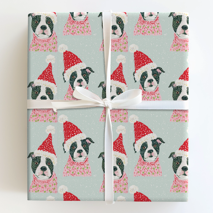 Santa the Pitbull
