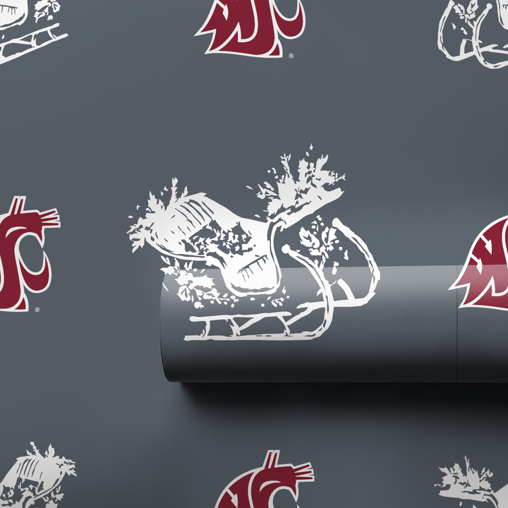 Sleigh Washington