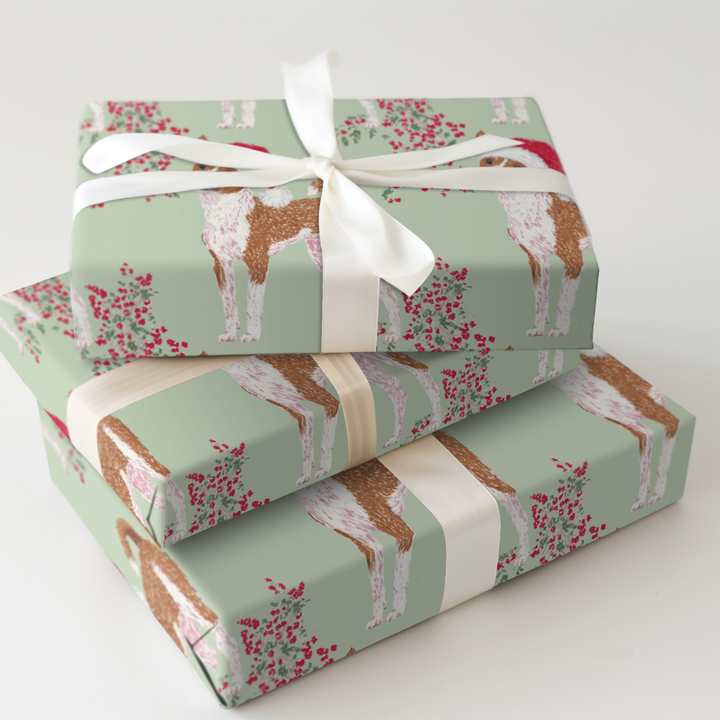 Santa the Basenji