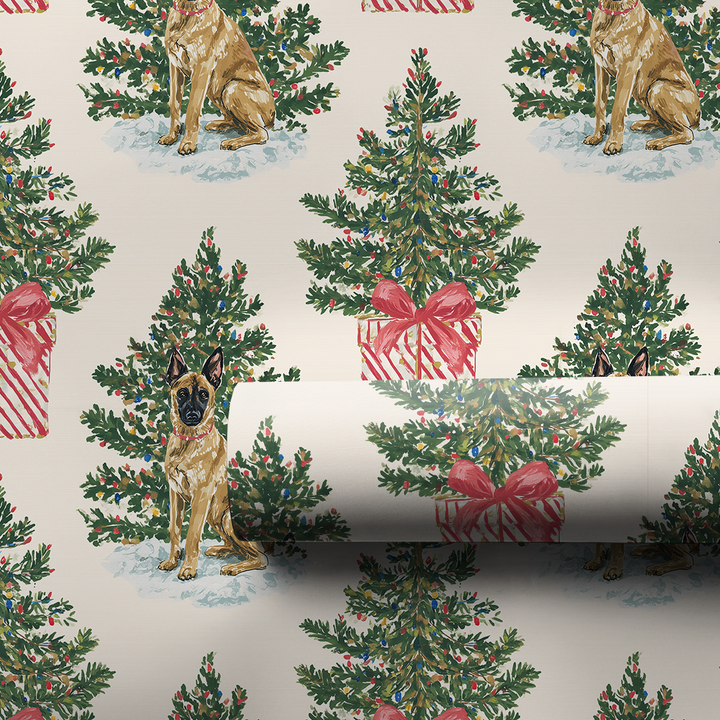 Malinois Under the Tree