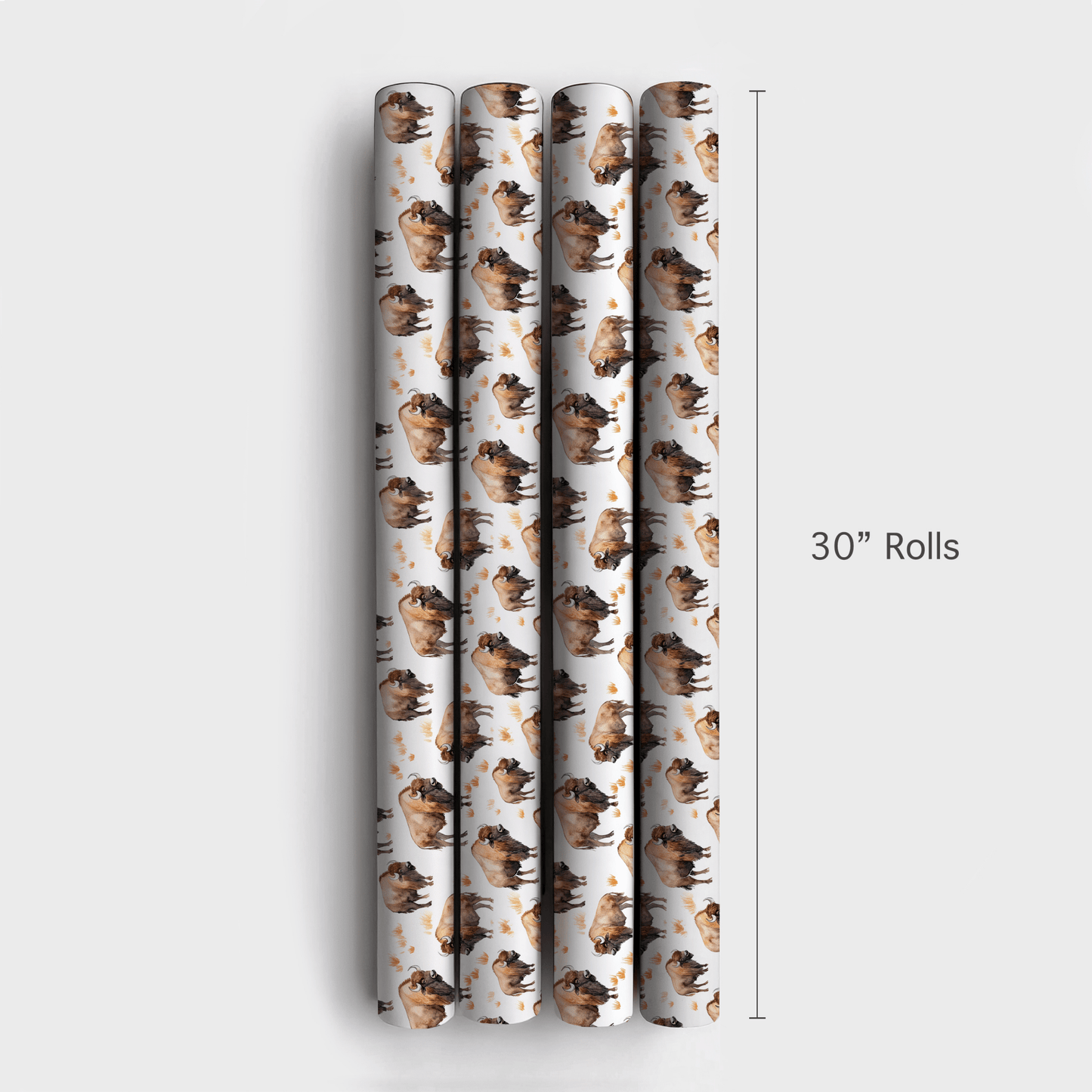 Open Sky Pass - Wrapping Paper - Aspen & Arlo