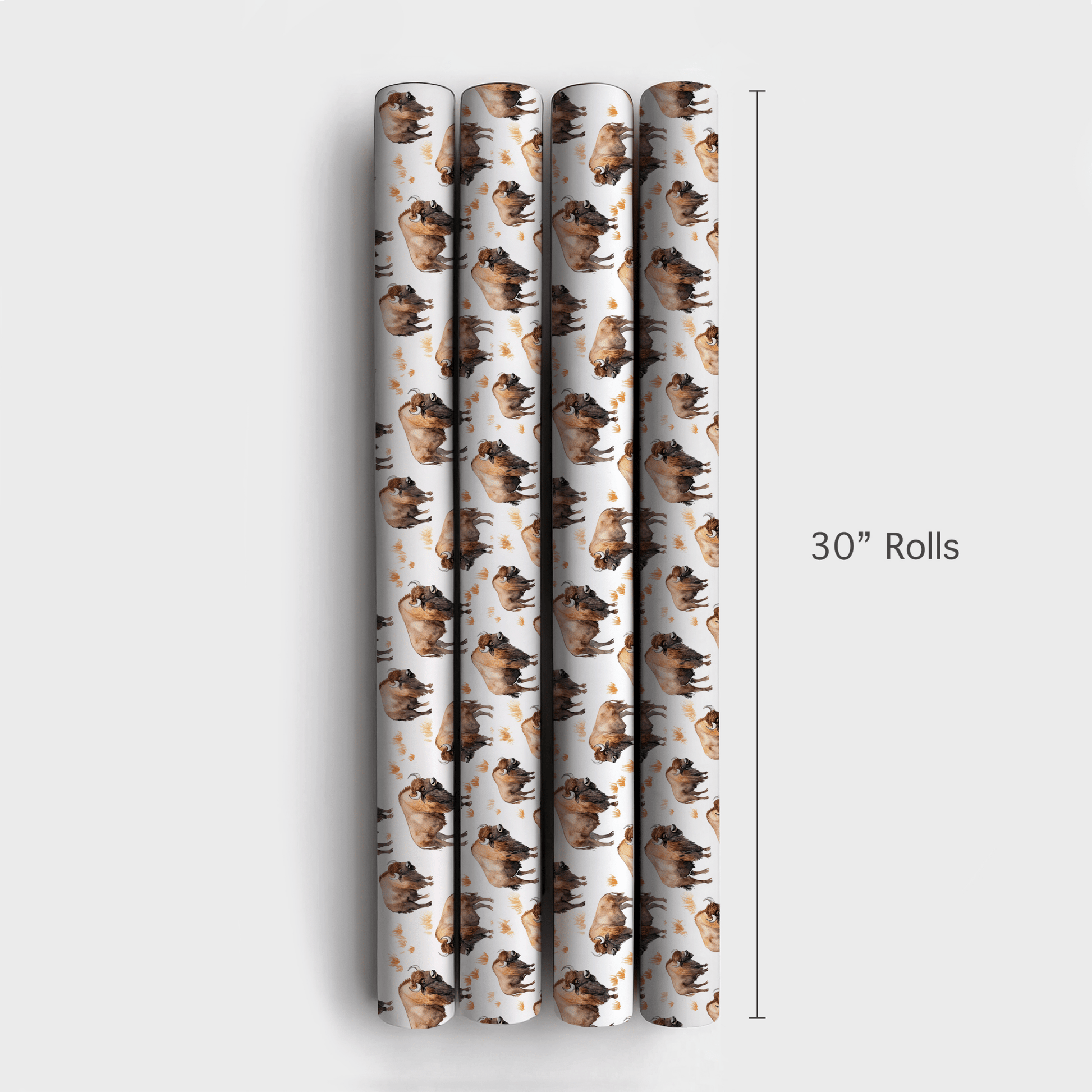 Open Sky Pass - Wrapping Paper - Aspen & Arlo