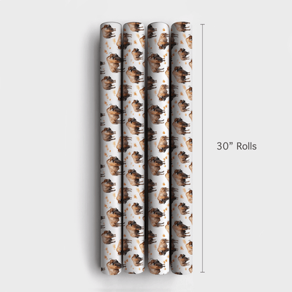Open Sky Pass - Wrapping Paper - Aspen & Arlo
