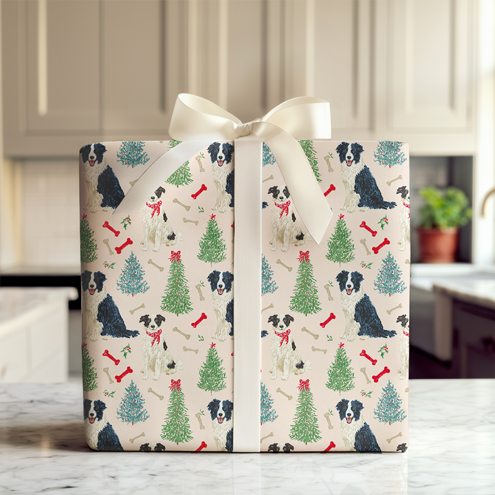 Border Collie Blush Christmas