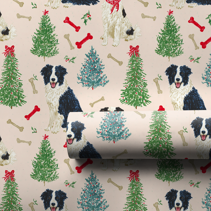Border Collie Blush Christmas