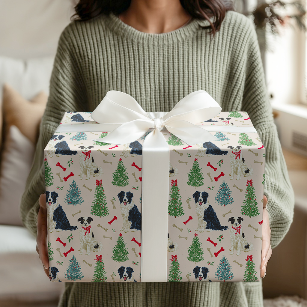 Border Collie Blush Christmas