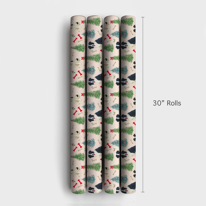 Border Collie Blush Christmas