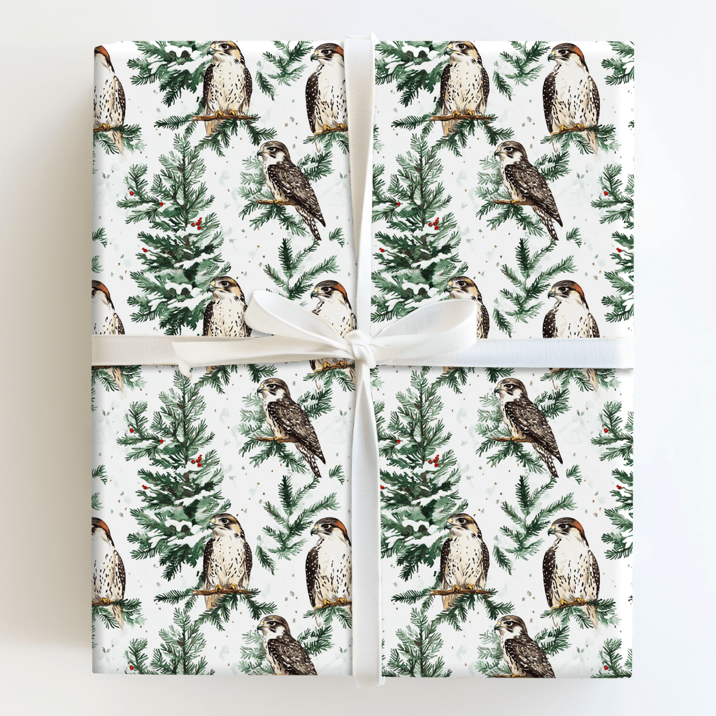 Falcon Festivity - Wrapping Paper - Aspen & Arlo