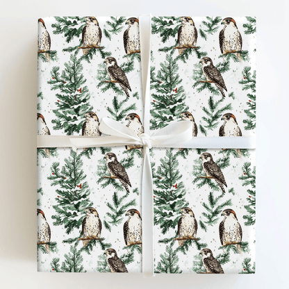 Falcon Festivity - Wrapping Paper - Aspen & Arlo
