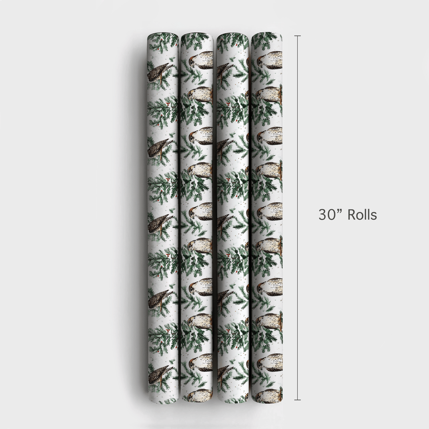 Falcon Festivity - Wrapping Paper - Aspen & Arlo