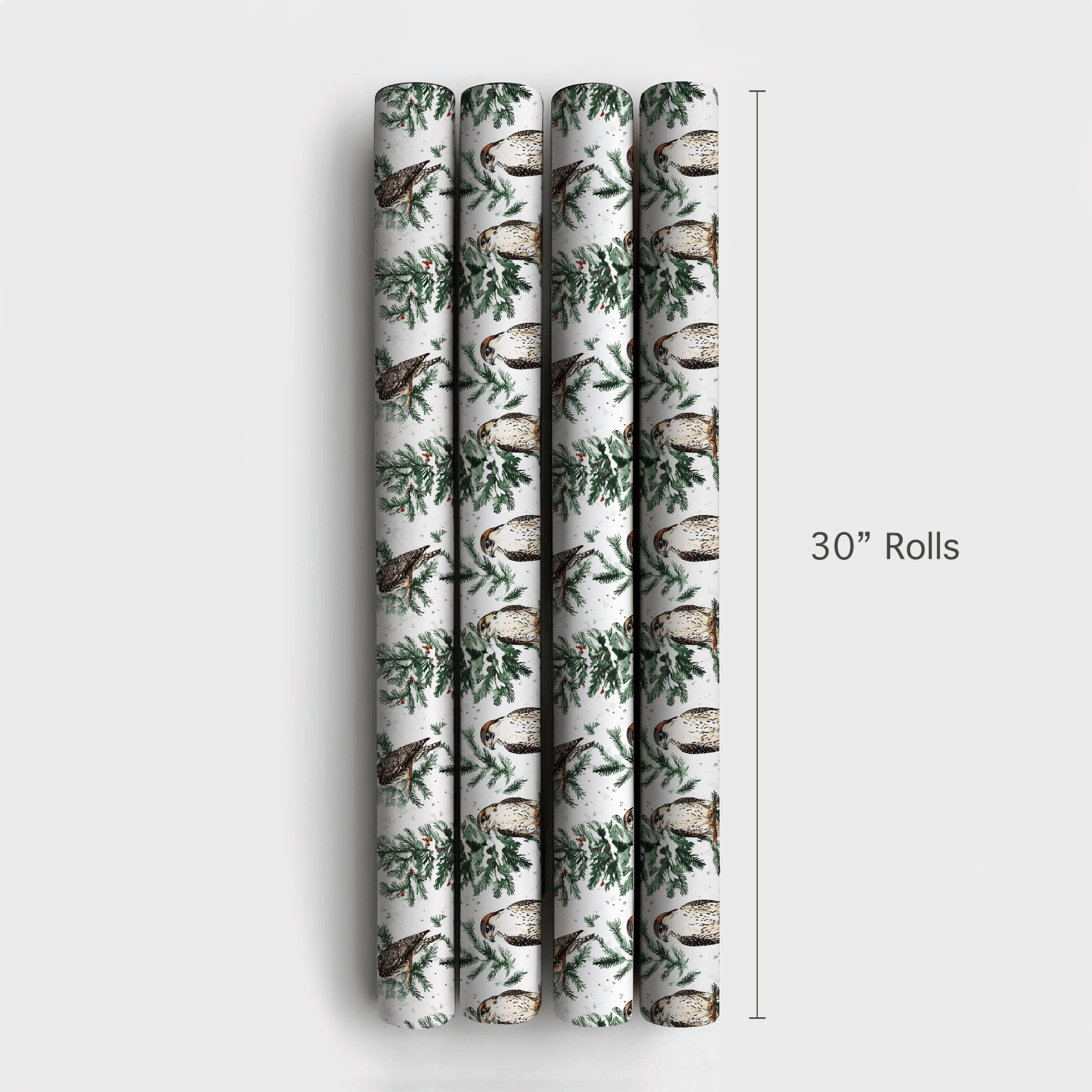 Falcon Festivity - Wrapping Paper - Aspen & Arlo