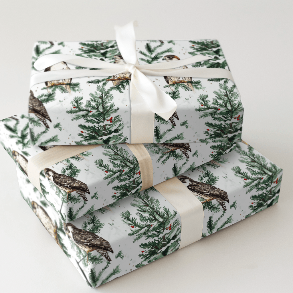 Falcon Festivity - Wrapping Paper - Aspen & Arlo