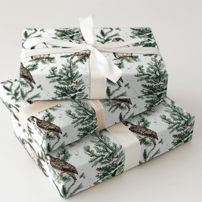 Falcon Festivity - Wrapping Paper - Aspen & Arlo
