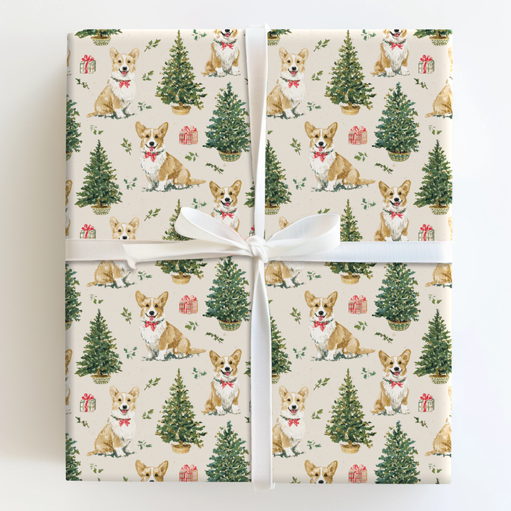 Corgis Under the Tree