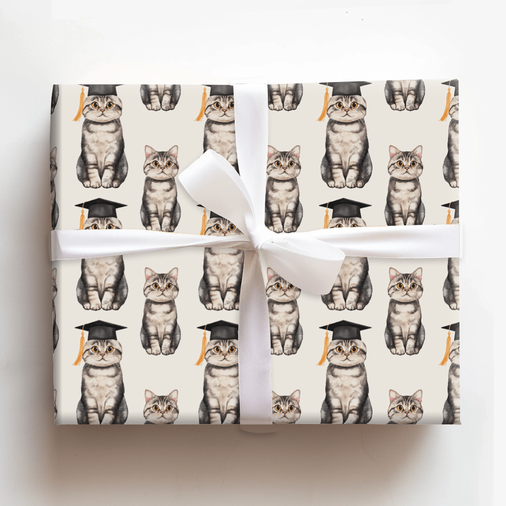 Scottish Fold Graduate - Wrapping Paper - Aspen & Arlo