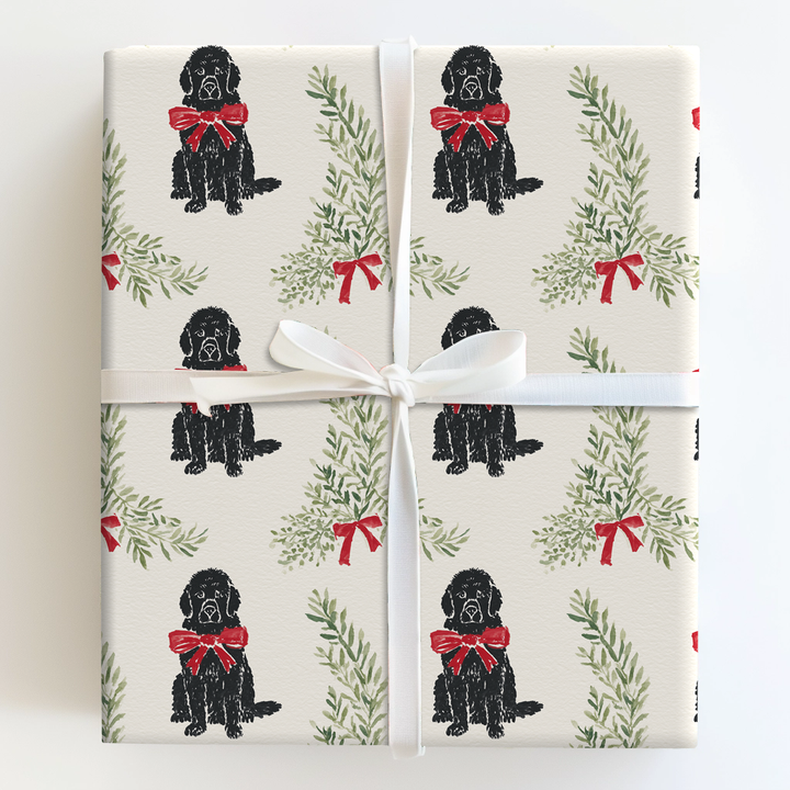 Merry and Newfoundland